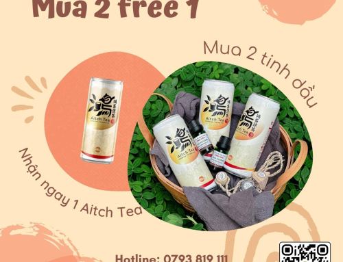 Khuyến mại mua 2 tặng 1